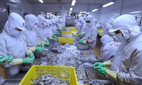 Hiệp định thương mại song phương với Israel sẽ tạo tiền đề cho Việt Nam thúc đẩy xuất khẩu