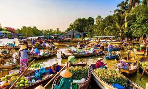 Giải pháp nào giúp đồng bằng sông Cửu Long phát triển nhanh?
