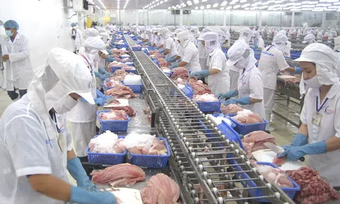 Cơ hội nào cho doanh nghiệp Việt Nam gia tăng thị phần tại khu vực Bắc Âu?