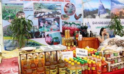 Nhiều điểm mới trong Hội chợ triển lãm Nông nghiệp AgroViet lần thứ 23