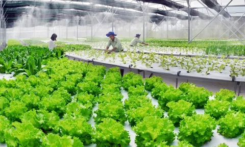 Ngân hàng ưu tiên vốn cho nông nghiệp ứng dụng công nghệ cao