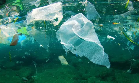 Nguy cơ lớn từ rác thải nhựa sử dụng một lần