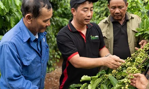 Nestlé đứng số 1 thế giới về giá trị thương hiệu thực phẩm, dẫn đầu Top 10 công ty có giá trị nhận thức về bền vững trên thế giới năm 2023