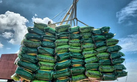 Nước mua gạo lớn thứ 3 của Việt Nam mở thầu nhập khẩu 300.000 tấn gạo