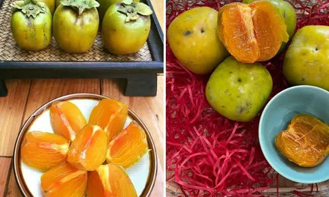 Hồng da tre: Hương vị lạ từ Thái Nguyên