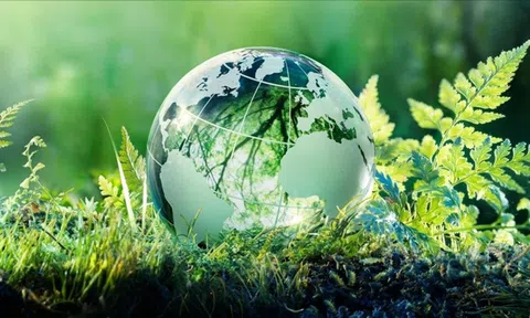 Doanh nghiệp dệt may mong chờ chính sách về chuyển đổi xanh