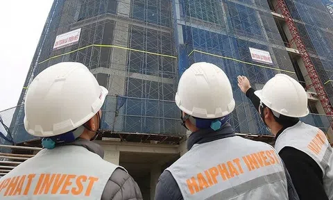 Hải Phát Invest (HPX) làm ăn ra sao trước khi cổ phiếu bị đình chỉ giao dịch?