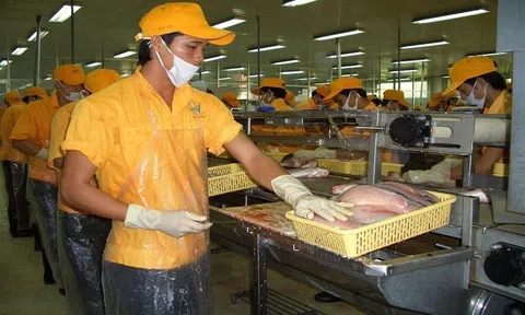 Kim ngạch xuất khẩu thủy sản đang phục hồi và có tăng trưởng