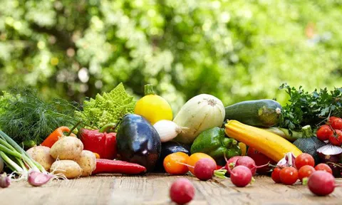 Phó Thủ tướng Trần Hồng Hà yêu cầu rà soát các hệ thống quản lý an toàn thực phẩm