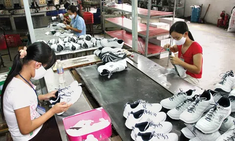 Hàng xuất khẩu của Việt Nam đối mặt với nhiều tiêu chuẩn mới khắt khe hơn