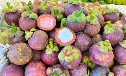 Măng cụt Bảo Lộc được cấp nhãn hiệu độc quyền