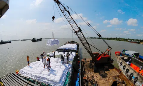 Doanh nghiệp trong chuỗi cung ứng lúa gạo khó tiếp cận nguồn vốn
