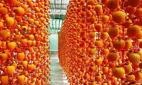 Mục tiêu đầy thách thức của Lâm Đồng với sản phẩm OCOP