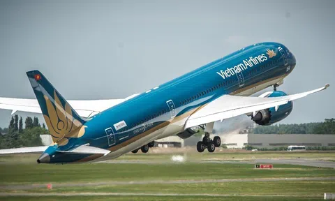 Hãng hàng không nào của Việt Nam đạt chuẩn quốc tế 5 sao?