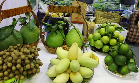 Doanh nghiệp xuất khẩu nông sản Việt Nam cần làm gì để hội nhập tốt hơn?