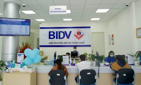 Ngân hàng nào được chọn phục vụ chi trả giảm phát thải carbon ở Việt Nam?