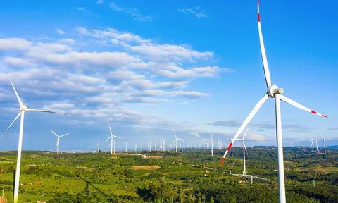 Điện gió Trung Nam Đắk Lắk 1 tiếp tục báo lỗ, nợ trái phiếu trên 9.500 tỷ đồng