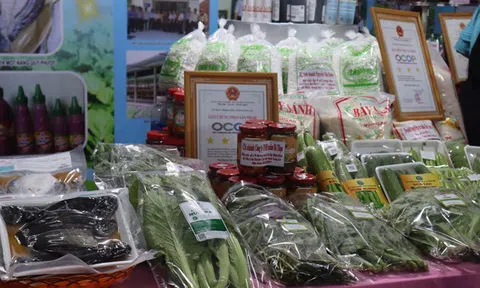 Tràn ngập sản phẩm tiêu biểu trong tuần lễ bán hàng OCOP tại Long An