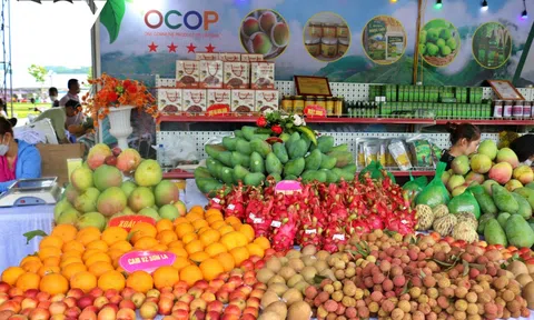 Hơn 1.500 sản phẩm được giới thiệu tại Festival Nông sản Hà Nội 2023