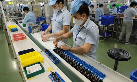 Đề xuất áp dụng thuế tối thiểu toàn cầu từ đầu năm 2024