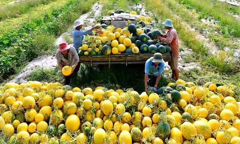 4 nguyên tắc trong liên kết sản xuất kinh doanh sản phẩm nông nghiệp