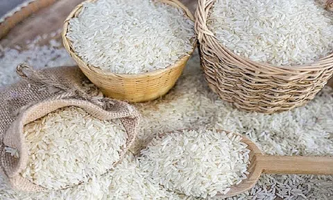 Ngành nông nghiệp tự tin đạt mục tiêu xuất khẩu năm 2023