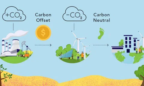 Sàn giao dịch tín chỉ carbon đầu tiên ra mắt Việt Nam