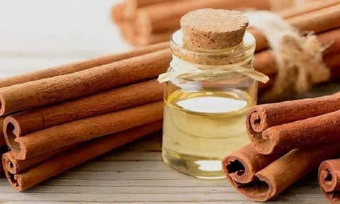 Quế xuất khẩu vẫn chỉ ở dạng nguyên liệu thô, giá trị thấp