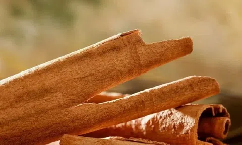 Mặt hàng quế, hồi Việt Nam tăng trưởng nhanh tại thị trường Canada