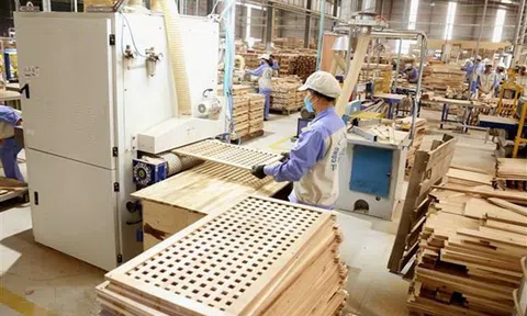 Xuất khẩu gỗ và sản phẩm gỗ được dự báo sẽ tích cực hơn trong quý IV