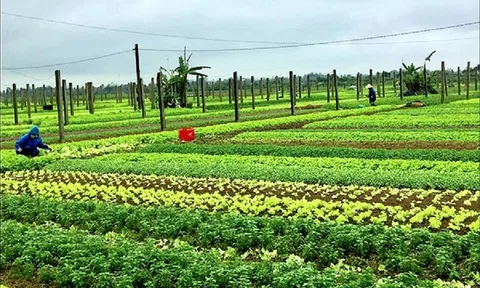 Giảm 30% tiền thuê đất cho người sử dụng trong năm 2023