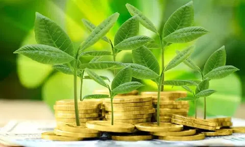 Tháo gỡ khó khăn để ngân hàng xanh phát triển