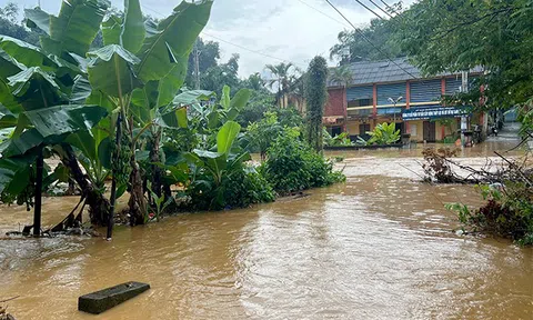 Yên Bái thiệt hại nặng nề do bão số 4