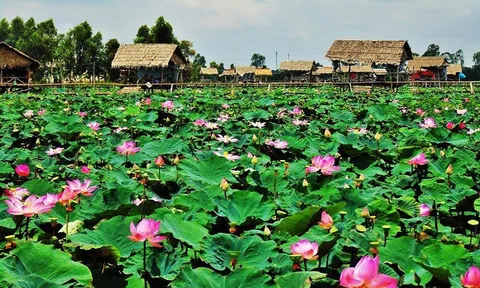 Phát triển Đồng Tháp thành tỉnh kiểu mẫu nông nghiệp sinh thái