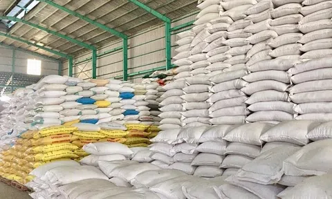 Indonesia muốn mua thêm 1,5 triệu tấn gạo dự trữ quốc gia trong năm 2023