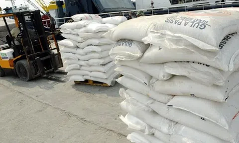 Phân giao hạn ngạch nhập khẩu đường năm 2023 theo phương thức đấu giá