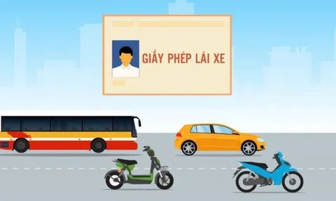 Chưa bắt buộc phải đổi bằng lái xe bản giấy sang thẻ nhựa