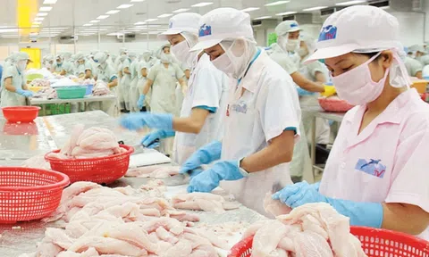 Mexico đứng đầu trong khối CPTPP nhập khẩu cá tra Việt Nam