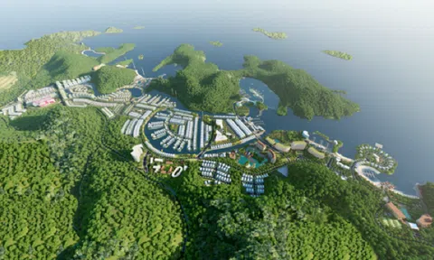 Chủ dự án Cát Bà Amatina đang kinh doanh ra sao trước khi dừng hợp tác với Vinaconex?