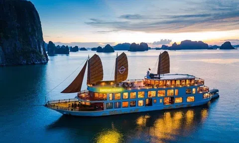 Hãng lữ hành nào của Việt Nam lọt danh sách đề cử tại chung kết World Travel Awards?