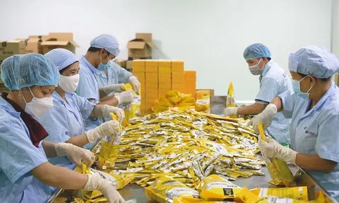 Doanh nghiệp Việt cần làm gì để đáp ứng những yêu cầu từ các FTAs?