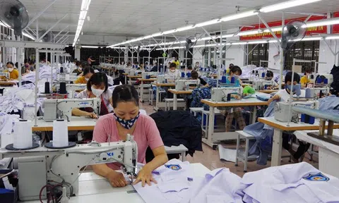 Hiệp hội Doanh nghiệp nhỏ và vừa Hà Nội tiếp tục đề xuất giải pháp tháo gỡ khó khăn