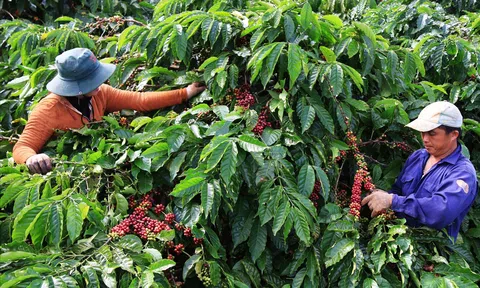 Nhiều giải pháp thúc đẩy tín dụng tại khu vực Tây Nguyên