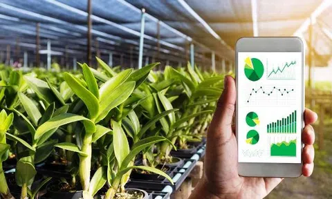 Để nông dân không “bơ vơ” trong quá trình chuyển đổi số