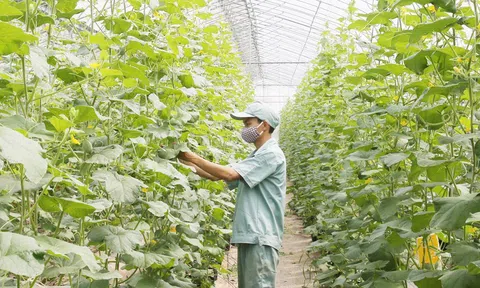 Hà Nội sẽ xây dựng cơ sở dữ liệu dùng chung ngành nông nghiệp