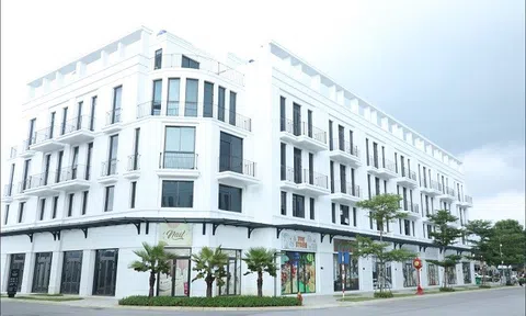 Vlasta – Sầm Sơn: Đưa nghệ thuật vào từng điểm chạm để hạnh phúc thăng hoa