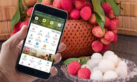 Tiêu thụ sản phẩm vùng dân tộc thiểu số trên sàn thương mại điện tử còn nhiều khó khăn