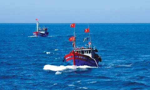 Tăng cường hợp tác để Biển Đông thu hẹp vùng xám và mở rộng vùng xanh