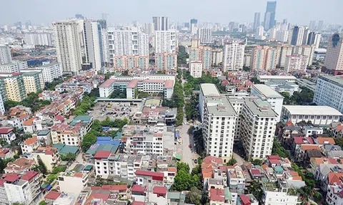 Nhiều đô thị lớn ở Việt Nam đang thiếu cây xanh