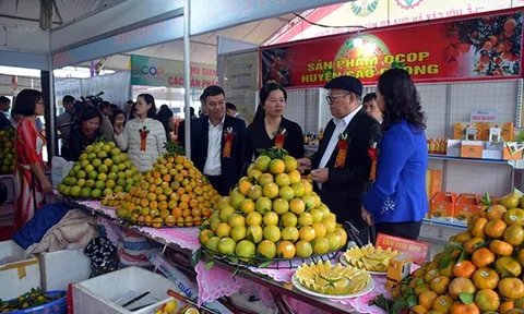 Hỗ trợ xúc tiến thương mại, tiêu thụ sản phẩm cho các Hợp tác xã